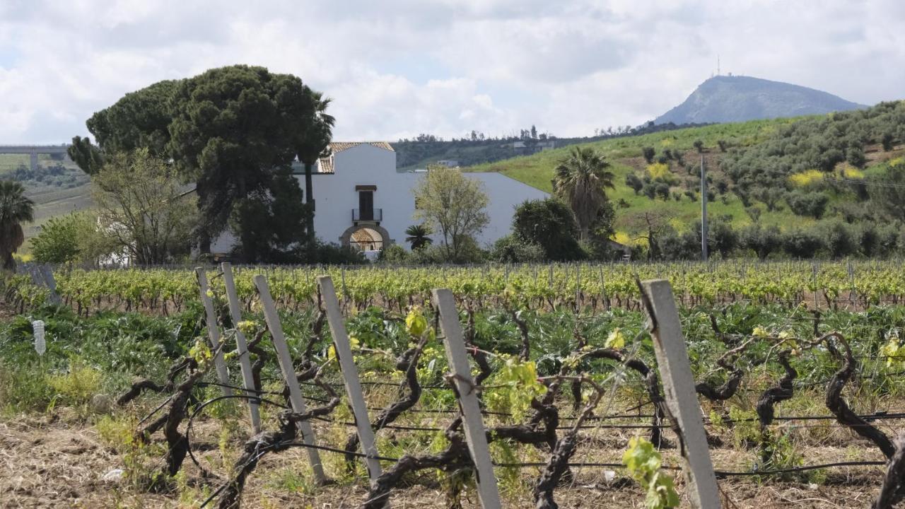 Fattoria Manostalla Villa Chiarelli バレストラーテ エクステリア 写真