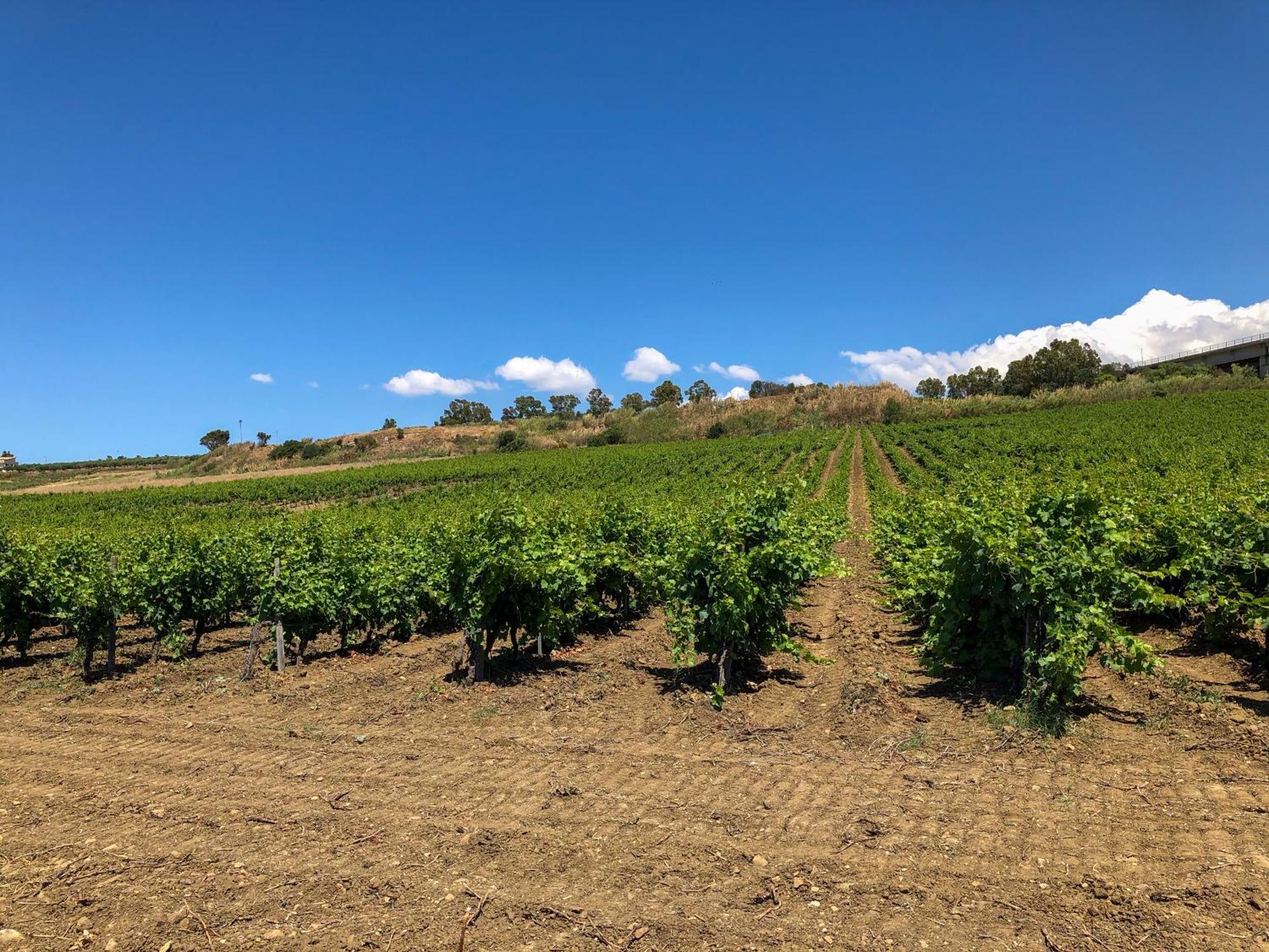 Fattoria Manostalla Villa Chiarelli バレストラーテ エクステリア 写真