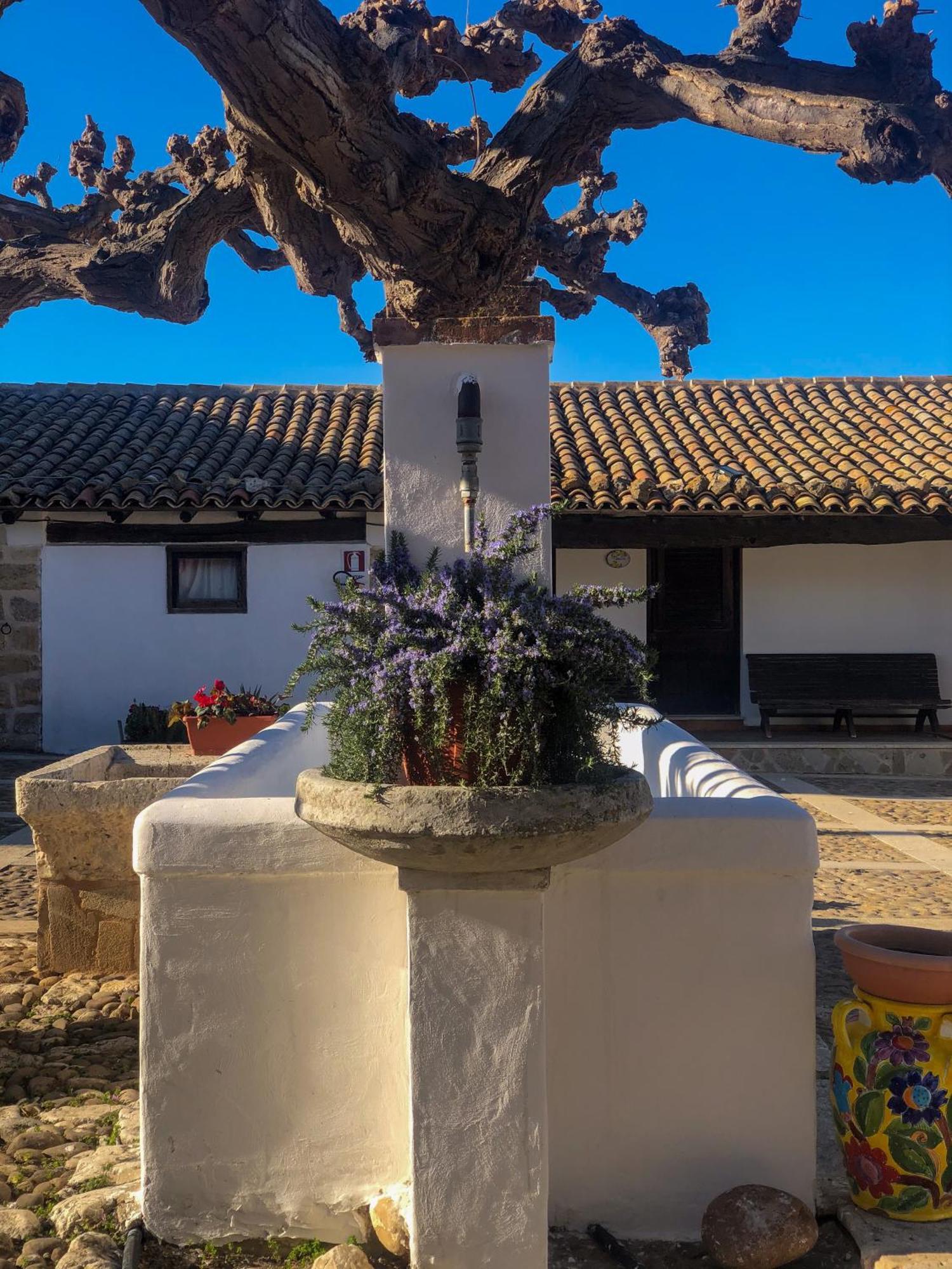 Fattoria Manostalla Villa Chiarelli バレストラーテ エクステリア 写真