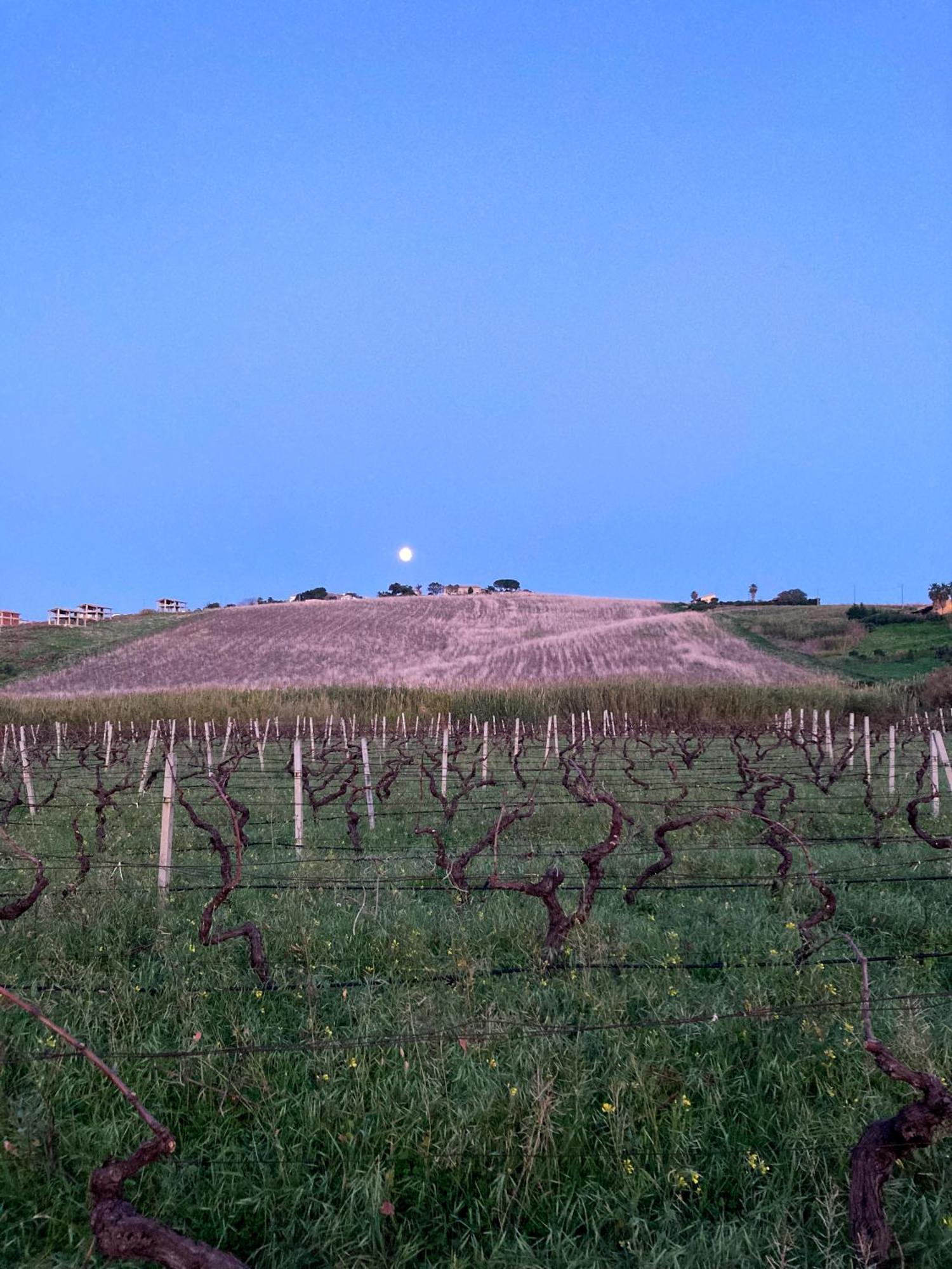Fattoria Manostalla Villa Chiarelli バレストラーテ エクステリア 写真