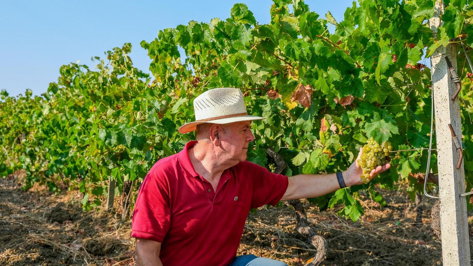Fattoria Manostalla Villa Chiarelli バレストラーテ エクステリア 写真